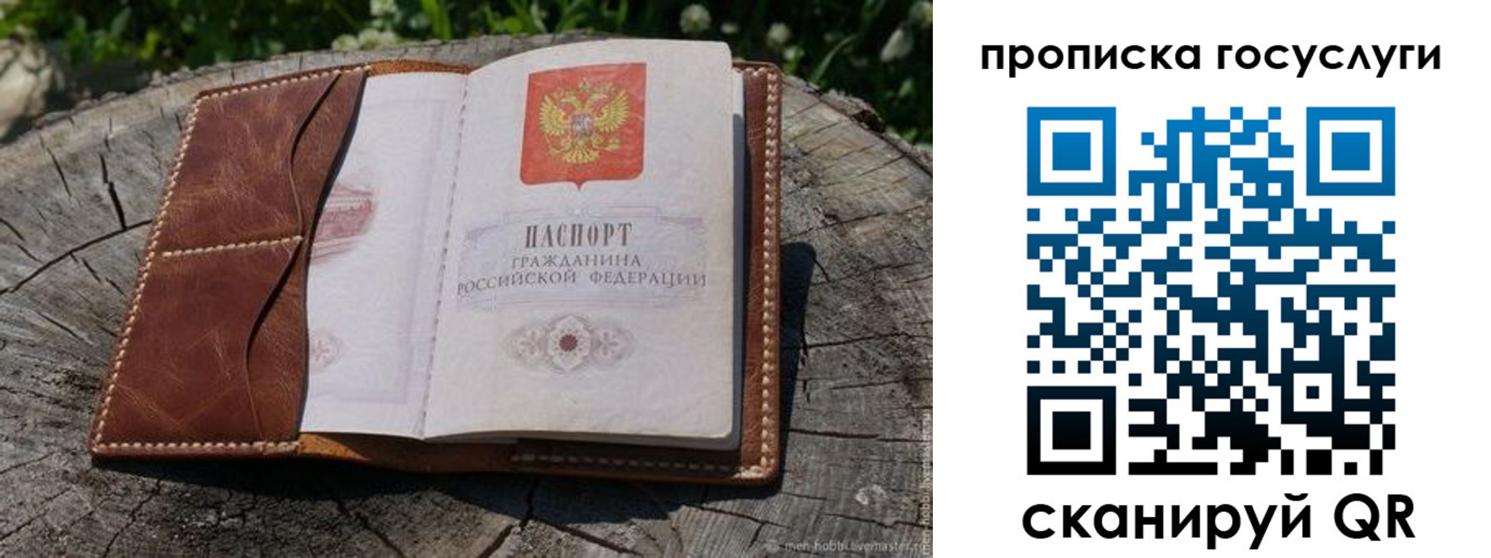 прописка для школы в Кимрах